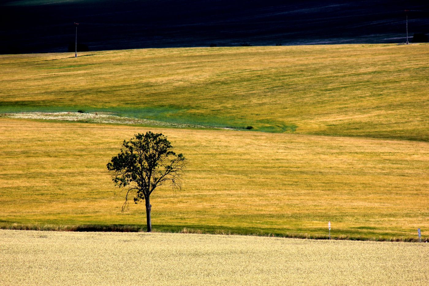 Umgebung von Schleiz – Weiter Blick